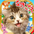 とびだす動物タッチ