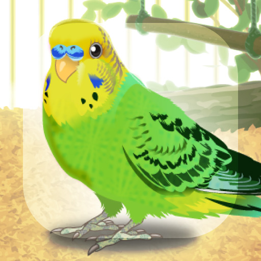 癒しのインコ育成ゲーム
