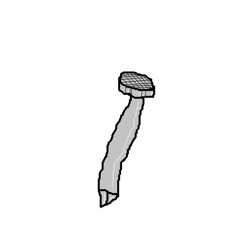 Nail