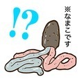 すごいどうぶつ