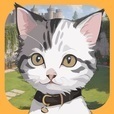 Cat And Seek