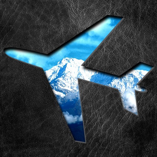 ヒマラヤ飛行 機長席