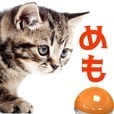 ネコ好き？　猫メモ　付箋紙ねこメモ張あつめゲーム