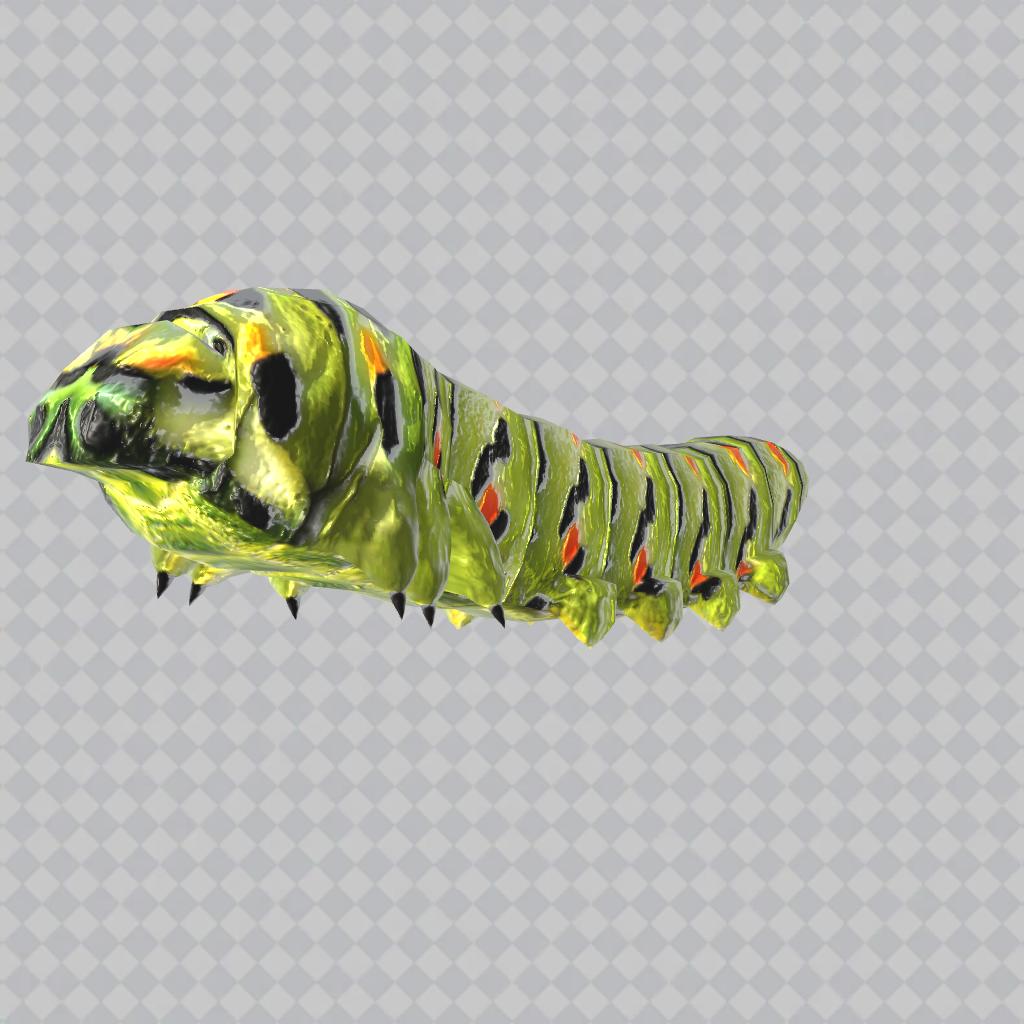 昆虫3d資料 キャラクター一覧 予約トップ10