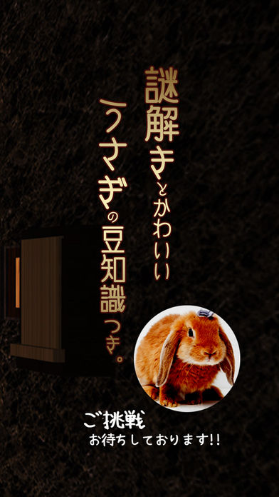 脱出ゲーム 強気なうさぎ。のスクリーンショット_5