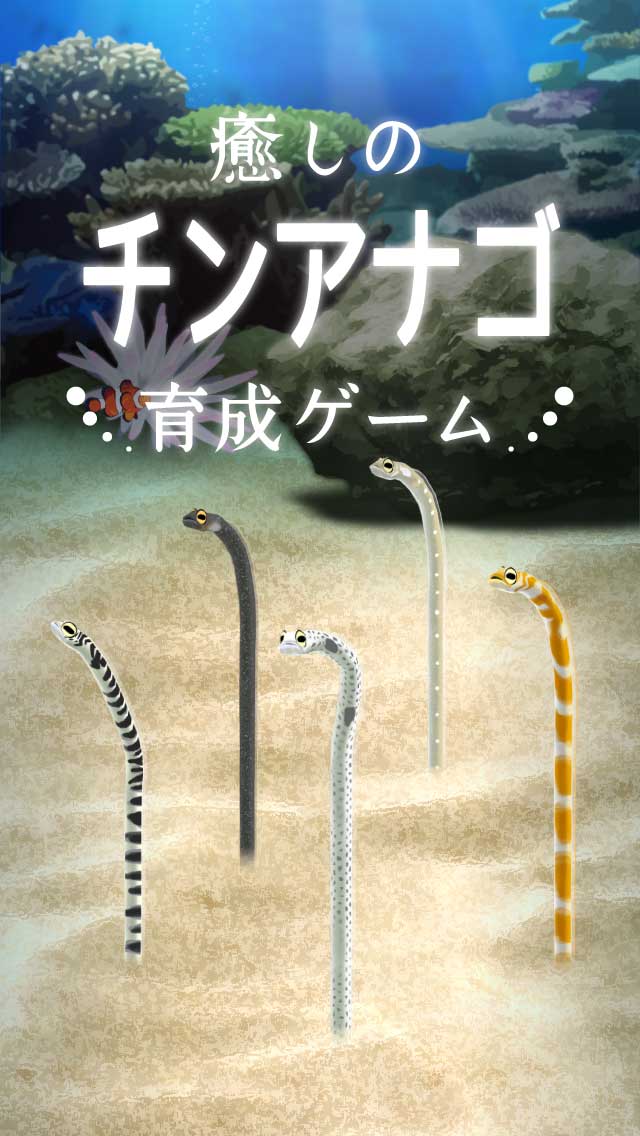 癒しのチンアナゴ育成ゲームのスクリーンショット_1
