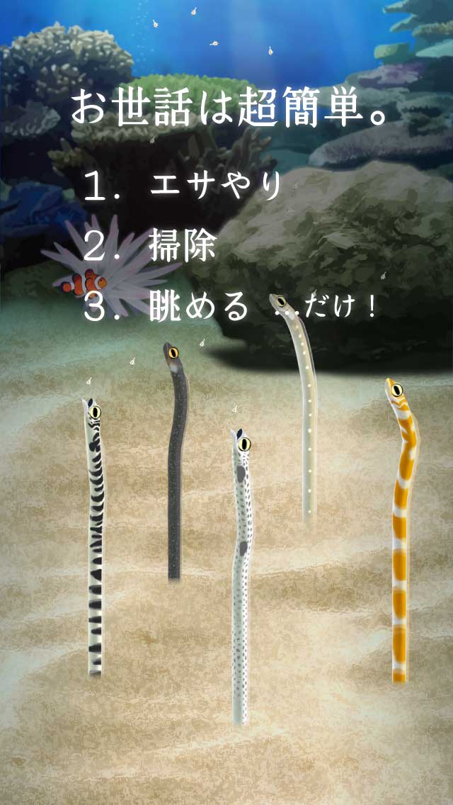 癒しのチンアナゴ育成ゲームのスクリーンショット_2