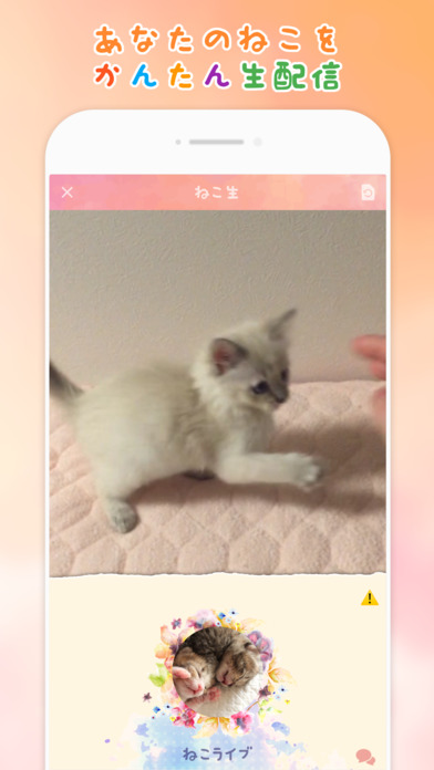 ねこライブのスクリーンショット_1