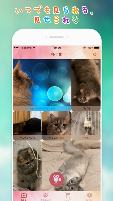 ねこライブのスクリーンショット_3