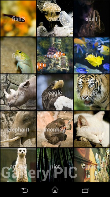 Gallery Picのスクリーンショット_2
