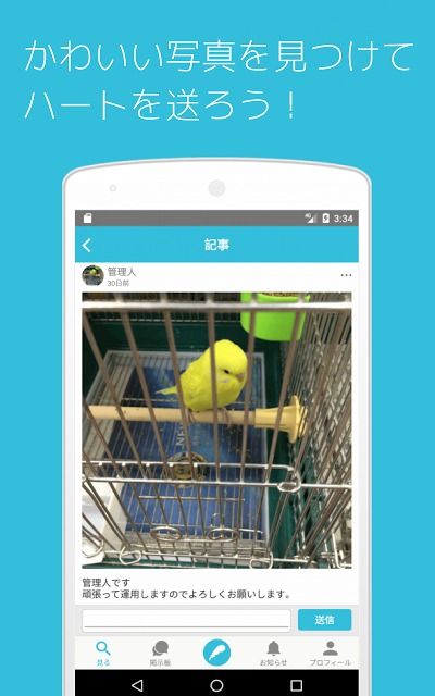 セキセイの木ーインコ専門写真・動画共有SNSのスクリーンショット_2