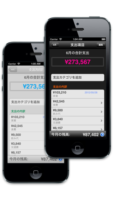 家計簿くんProのスクリーンショット_3