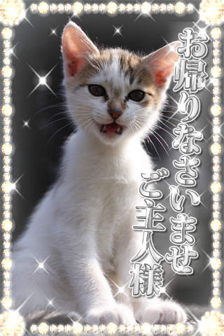 小悪魔かめらのスクリーンショット_1