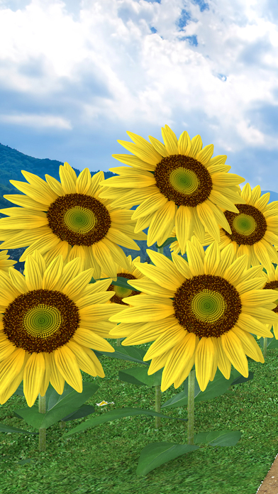 脱出ゲーム Obon ひまわり溢れる田舎の古民家のスクリーンショット_1