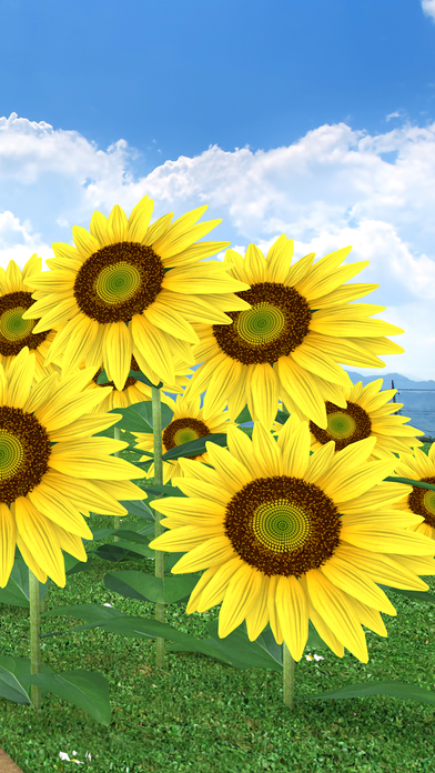 脱出ゲーム Obon ひまわり溢れる田舎の古民家のスクリーンショット_3