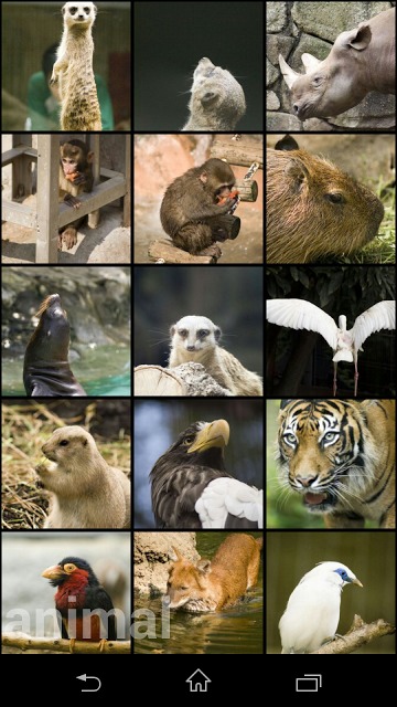 Gallery Picのスクリーンショット_3