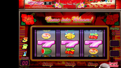 激Jパチスロ ニューハナハナ-30のスクリーンショット_5