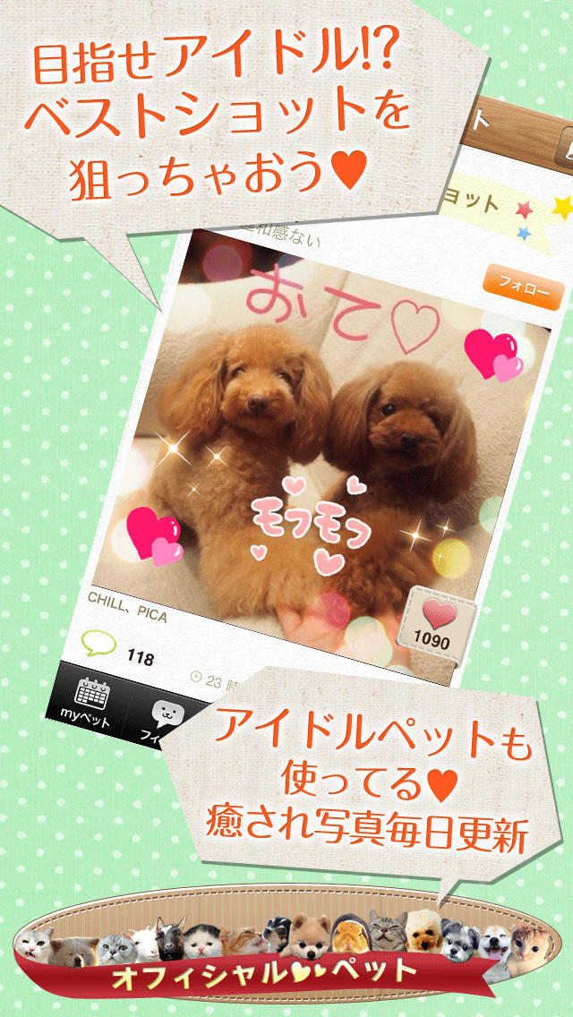 パシャっとmyペット〜可愛いペットの写真共有SNS〜のスクリーンショット_4