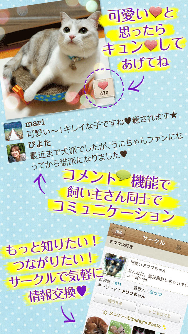 パシャっとmyペット〜可愛いペットの写真共有SNS〜のスクリーンショット_5