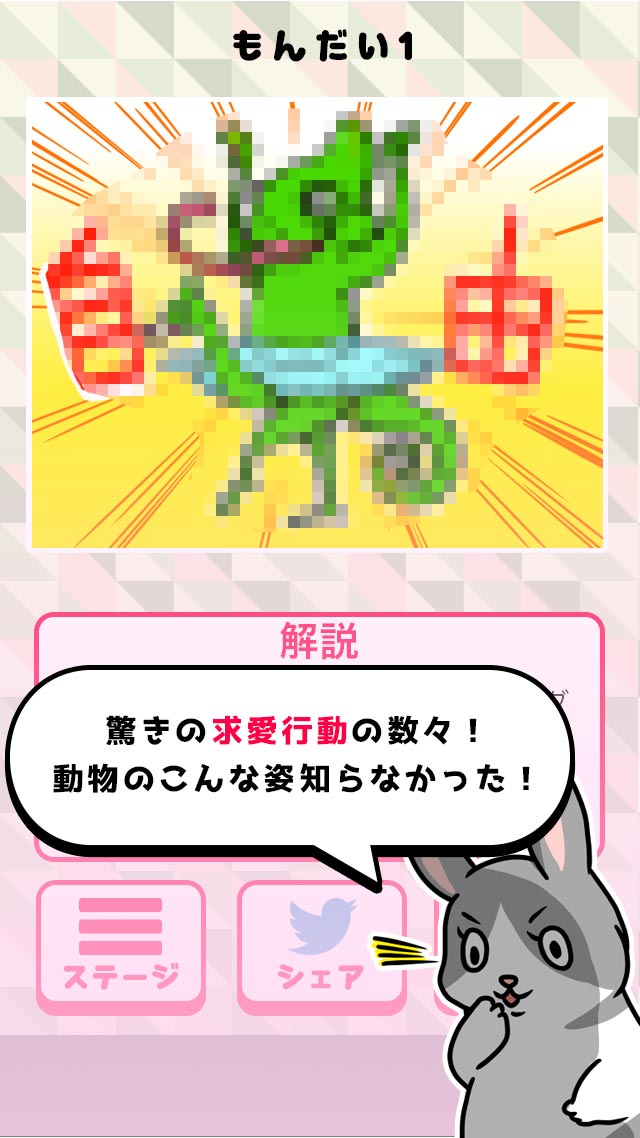 どうぶつラブのスクリーンショット_3