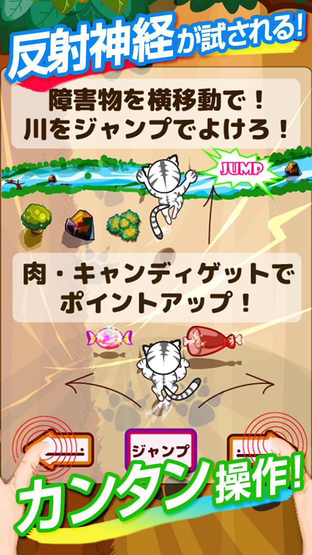 タイガーランナー～トラが大自然でレースするスピードランニングゲーム～のスクリーンショット_2