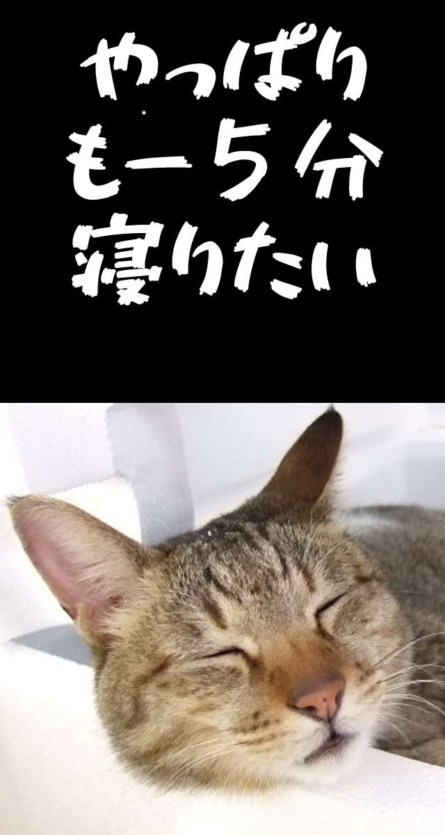 あと５分だけ寝かせてタイマー Moreover 操作不要のスクリーンショット_1