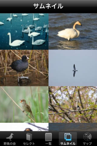 日本野鳥の会監修 野鳥図鑑のスクリーンショット_1