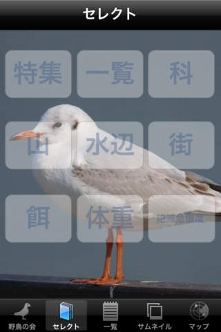 日本野鳥の会監修 野鳥図鑑のスクリーンショット_3