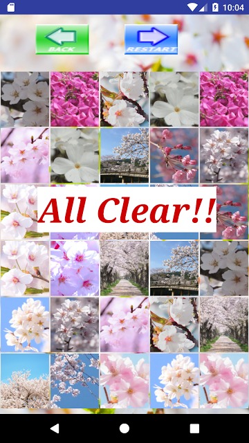 桜・神経衰弱のスクリーンショット_4