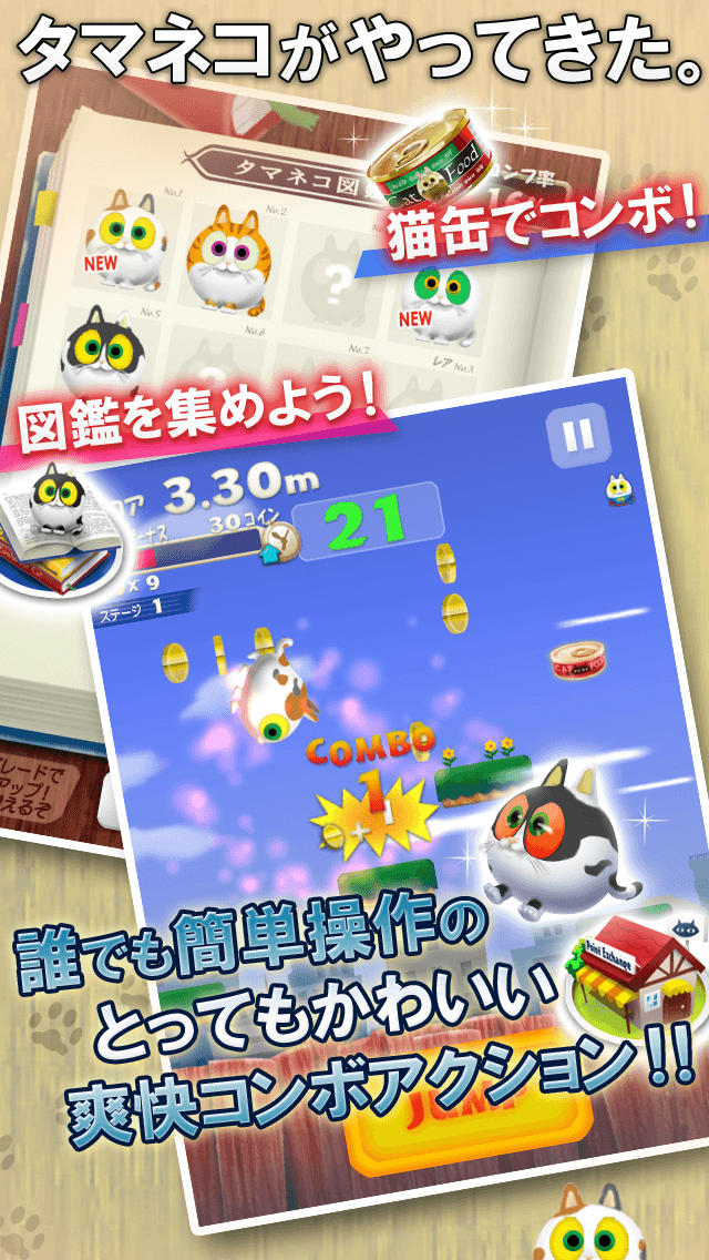 ねこたま！ ～俺のタマ？知りませんよ～のスクリーンショット_2