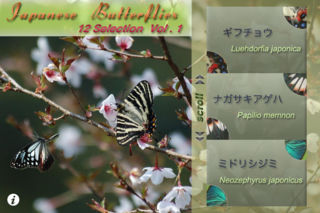 Japanese Butterflies 12 Selection Vol1のスクリーンショット_1