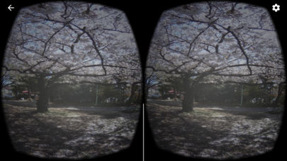 お花見さくらVRのスクリーンショット_2