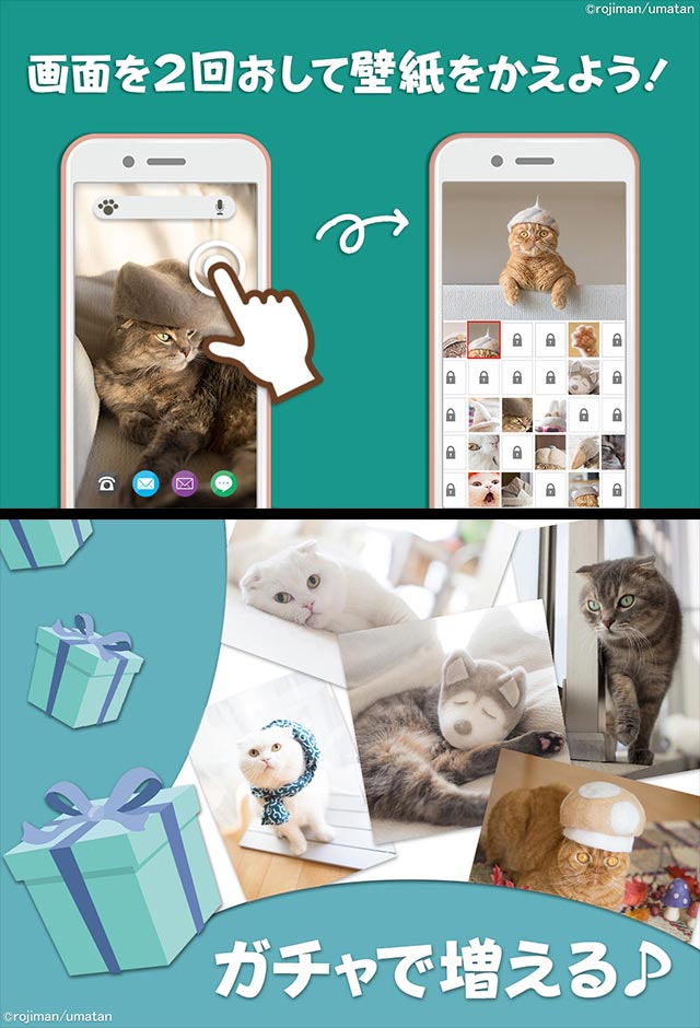 猫壁紙「抜け毛帽子」のスクリーンショット_3