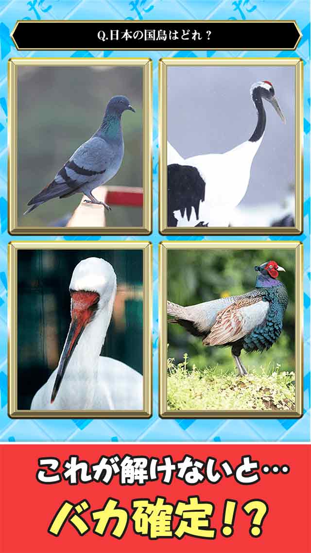 ミスったらバカ！一般常識クイズのスクリーンショット_2
