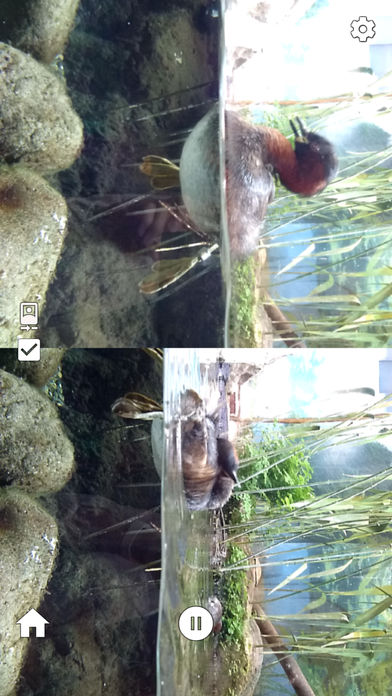 時撮りカメラのスクリーンショット_4