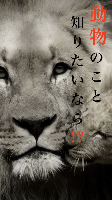 動物の知識のスクリーンショット_1