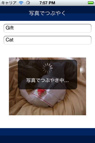 Pixnap for iOSのスクリーンショット_1