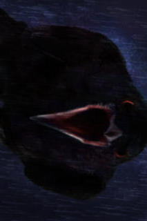 3Dサウンドホラーささやきアドベンチャー 鳴囁～メイジョウ～前篇のスクリーンショット_2