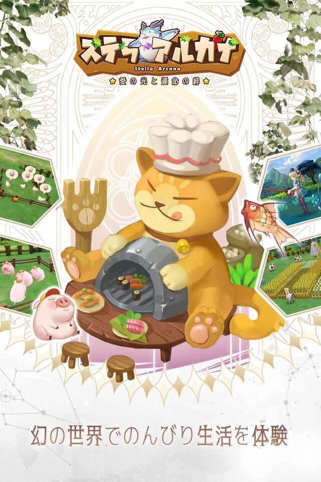 ステラアルカナ~愛の光と運命の絆のスクリーンショット_4