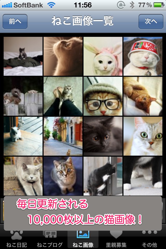 日刊ねこ新聞-猫情報まとめのスクリーンショット_3