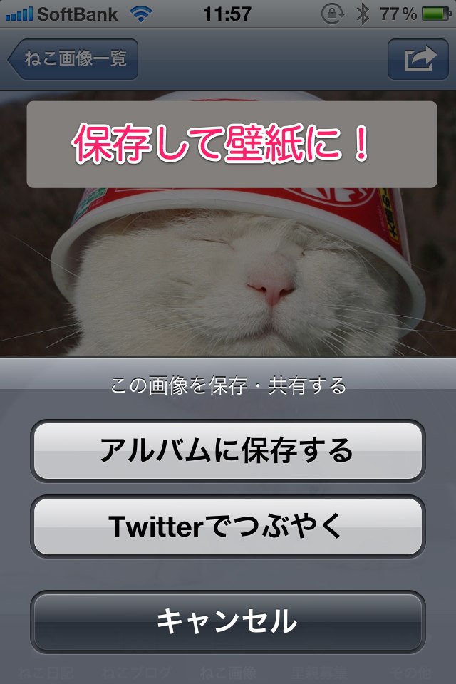 日刊ねこ新聞-猫情報まとめのスクリーンショット_5