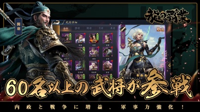 龍の覇業~三国英雄伝のスクリーンショット_2