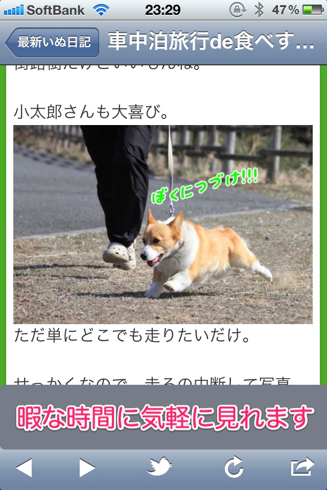日刊いぬ新聞-犬情報まとめのスクリーンショット_2