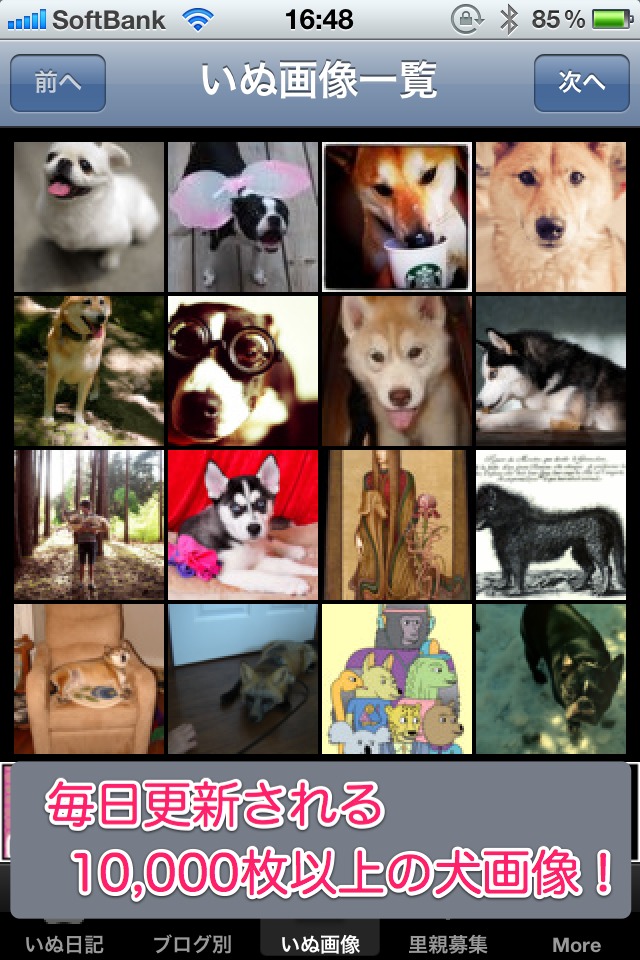 日刊いぬ新聞-犬情報まとめのスクリーンショット_3