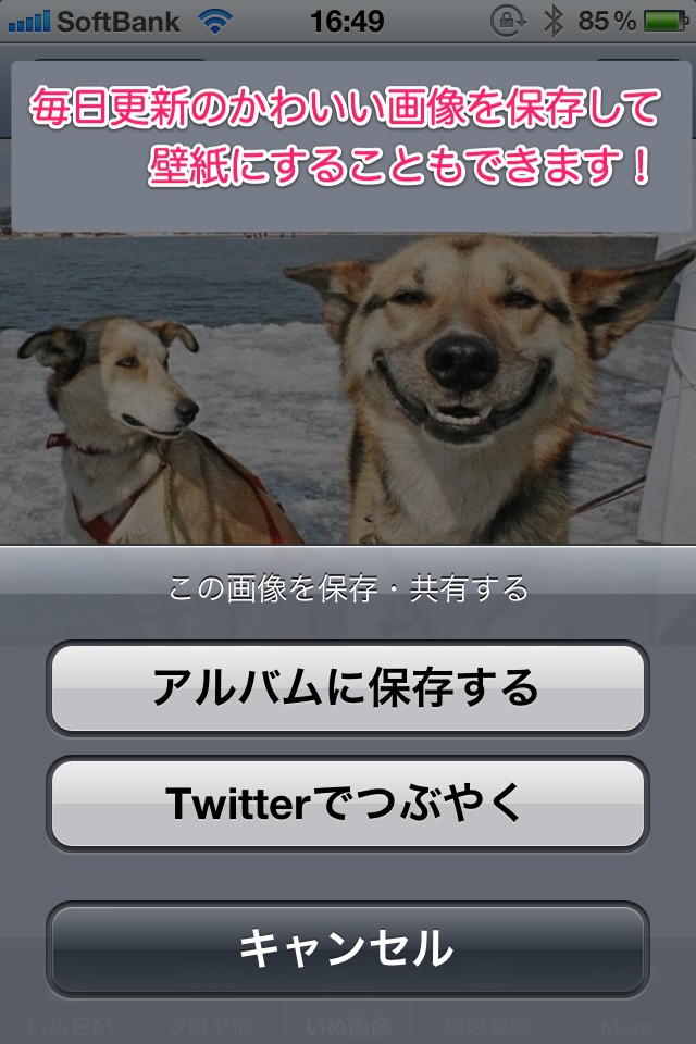 日刊いぬ新聞-犬情報まとめのスクリーンショット_4