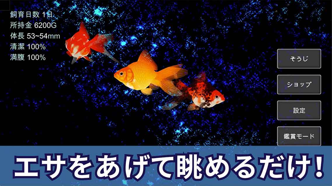 ポケット金魚のスクリーンショット_2