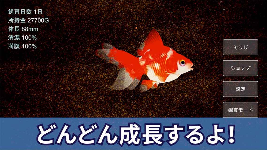 ポケット金魚のスクリーンショット_3