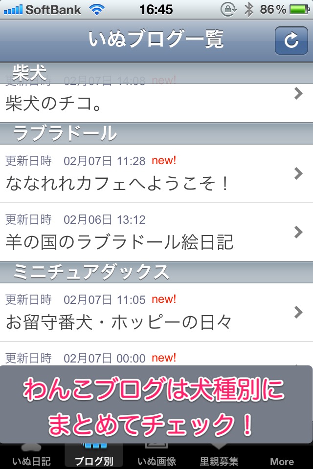 日刊いぬ新聞-犬情報まとめのスクリーンショット_5