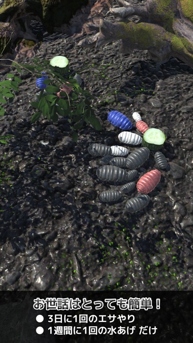 ダンゴムシといっしょ - 癒し系放置育成ゲームのスクリーンショット_2