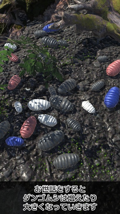 ダンゴムシといっしょ - 癒し系放置育成ゲームのスクリーンショット_3